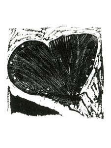 Papillon sombre, 2013